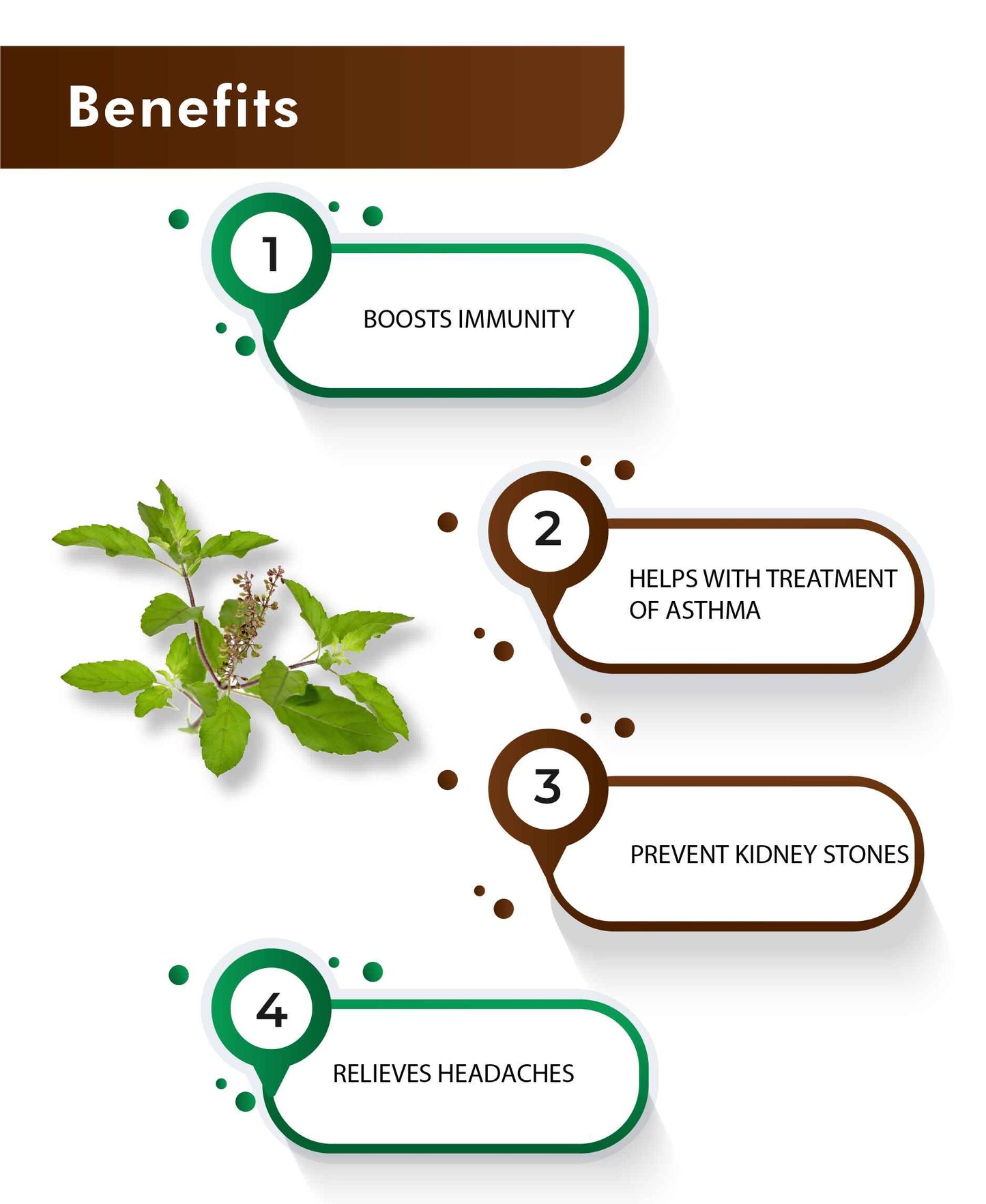 H&C Natural Tulsi Powder 100gm - Immunity & Stress Relief
