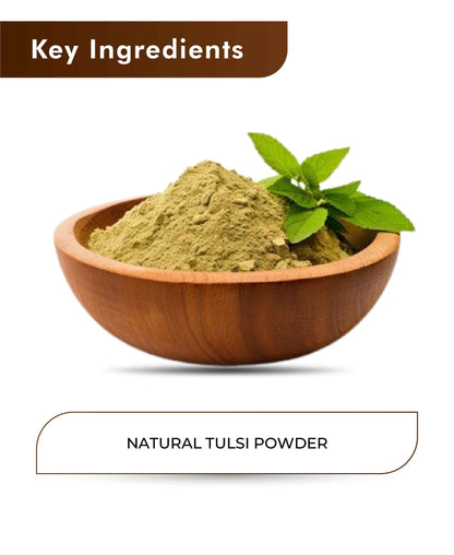 H&C Natural Tulsi Powder 100gm - Immunity & Stress Relief
